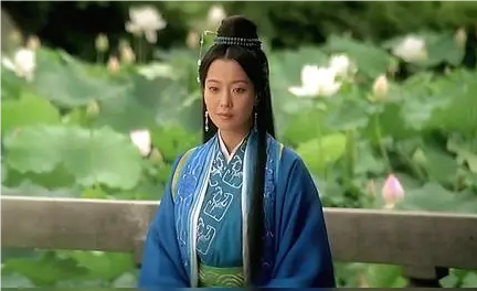 蒙毅将军与丽妃：一段历史的考察