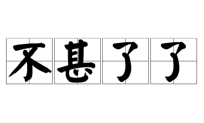探寻成语“不甚了了”的含义与应用