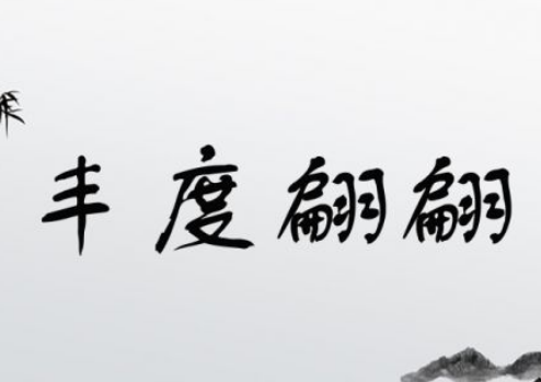 丰度翩翩，形容人物风采与仪态之美