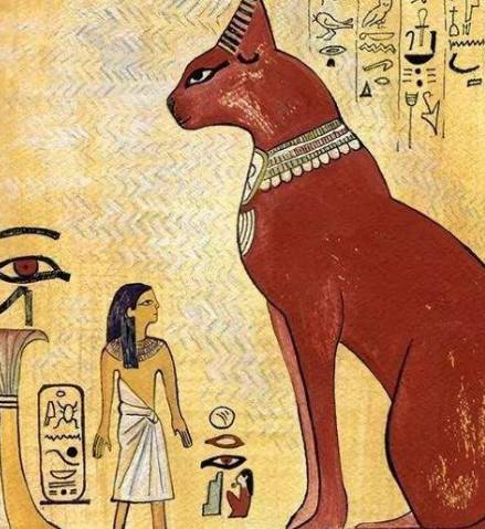 猫奴与古埃及：一段跨越千年的奇妙缘分