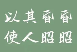 探究“以其昏昏，使人昭昭”的成语身份