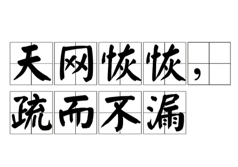 天网恢恢，疏而不漏：成语背后的古代法律智慧