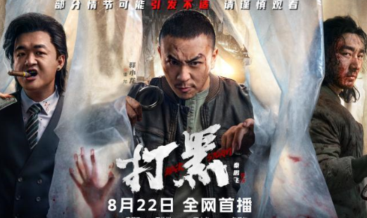 电影打黑什么时候上映？讲述了什么故事？