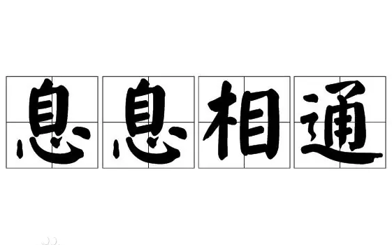 息息相通：探索成语的深刻内涵