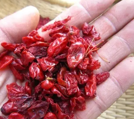探秘古人的辣味世界：在没有辣椒的时代如何享受辣味