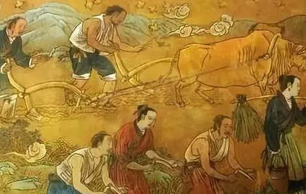 古代土地税：一亩地的财政贡献