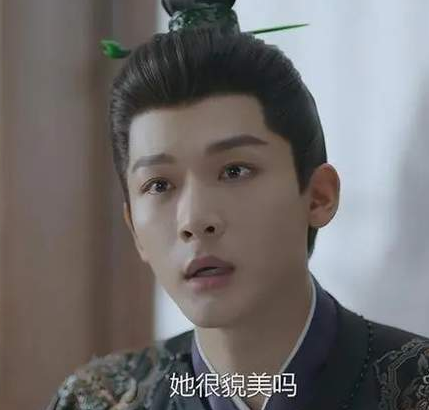 柳舟记男二身份是皇帝吗？