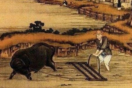 古代耕牛真的不杀嘛：探究古代耕牛的保护与利用