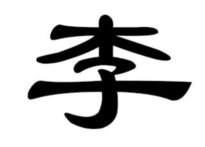 李姓的传承与辉煌