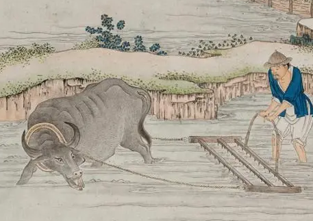 古代农田产量探究