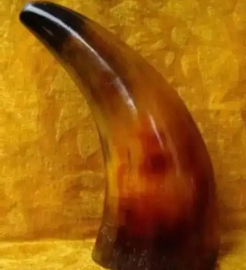 犀牛角与鬼魂：科学与迷信的辨析