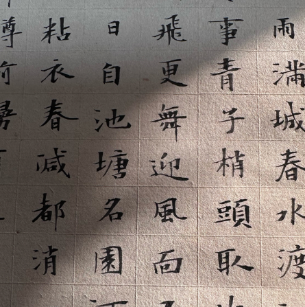 待诏官职探秘：古代宫廷中的隐秘角色