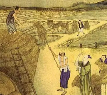 清朝地主的财富之路：200亩田地的收入探秘