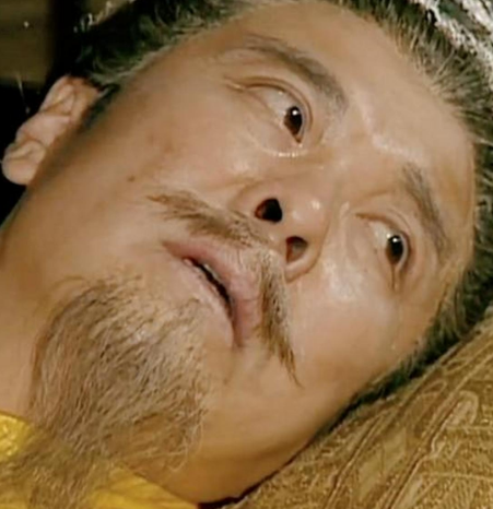 战略选择与命运转折：探究刘备败退至白帝城的原因