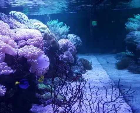 探索深渊：原神中的海底未解之谜与海底大御神成就攻略