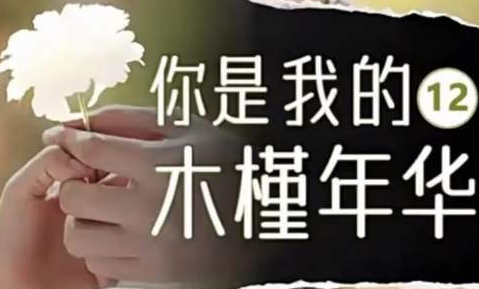 你是我的木槿年华剧情讲了什么故事？