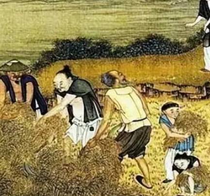 清朝耕地巨幅扩大的背后原因