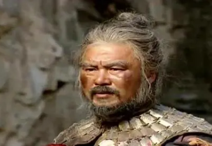邓艾奇袭成都的胆识与智慧