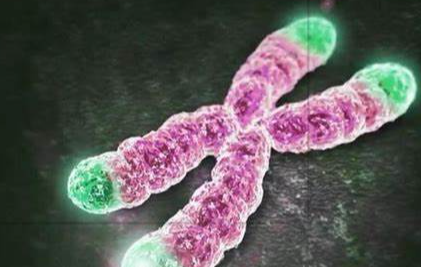 海拉细胞：科学奇迹与伦理边界