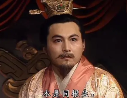 曹操子嗣之殇与权力的更迭