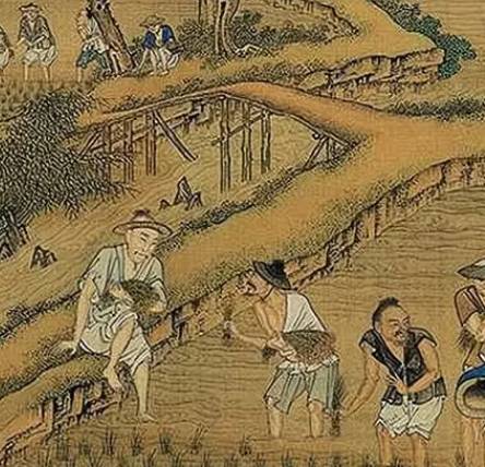 历史长河中的土地变迁——解析古代一亩与现代亩的换算关系