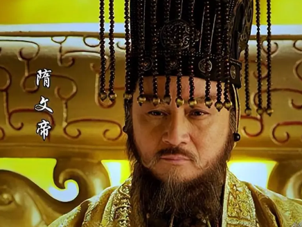 杨坚与王莽篡位背后的历史评价解析