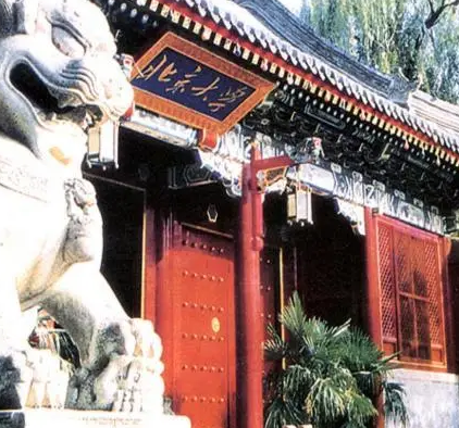 历史教育的重要性何在？——探索过去，启迪未来