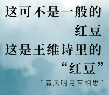 王维的红豆——情感与意象的完美融合