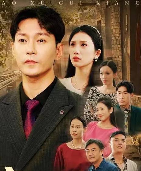 豪婿归乡剧情讲了什么？