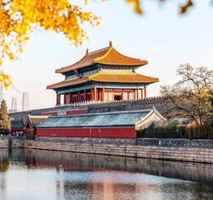故宫中轴线上的宫殿广场为什么没有一棵树