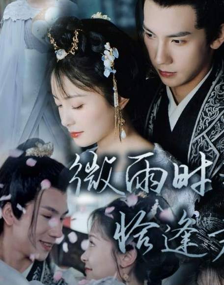 微雨时节恰逢君剧情讲了什么故事？