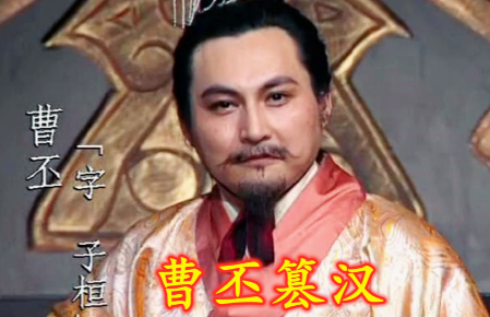 曹丕篡汉自立与兄弟情仇：历史真相与人性剖析