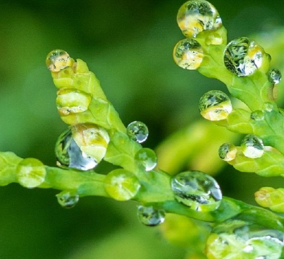 探寻雨水节气的前序：立春时节话农耕