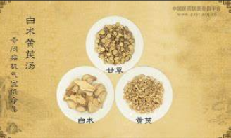 刘完素代表名方：白术黄芪散的医学智慧