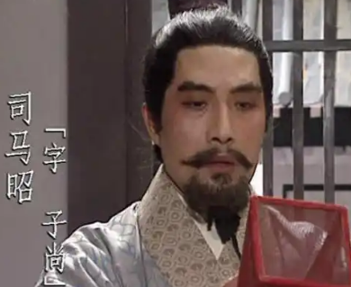 司马昭的选择——钟会与邓艾的主帅之争