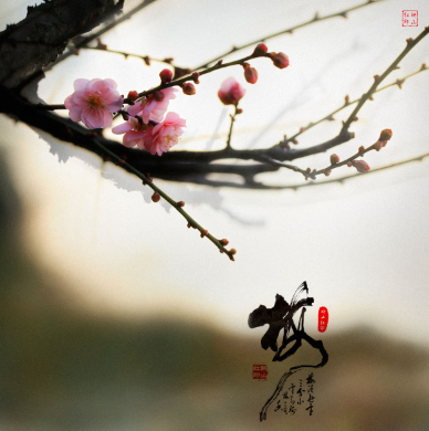 傲骨之人：坚韧不拔与高尚品格的化身