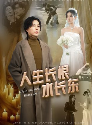 人生长恨水长东剧情概览