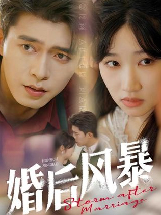 婚后风暴剧情概览