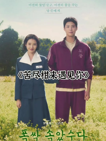 苦尽柑来遇见你一共有多少集？