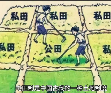 曹魏屯田制：内容与意义深度解析