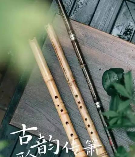 箫的种类和区别：探寻传统乐器的多样魅力