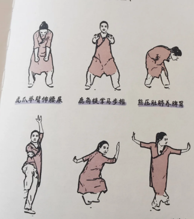 五禽戏与八段锦：传统健身术的差异之美