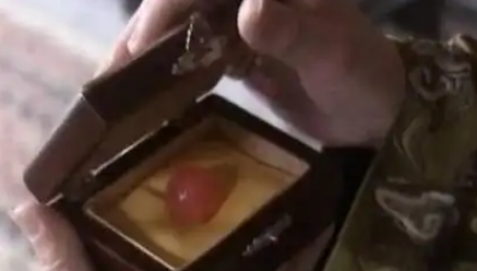 红丸案：一粒丹药背后的明末权力绞杀局