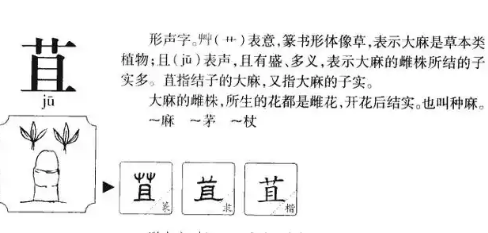 探寻“苴”作为地名的正确读音