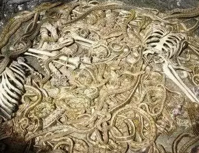 虿盆与炮烙：谁才是古代酷刑中的“残忍之最”？