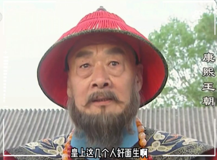 鳌拜与多尔衮：权力漩涡中的敬畏与制衡