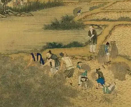摊丁入亩后百姓负担为何增加：历史背后的复杂现实