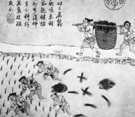 土地国有的千年实验：解码均田制的制度密码