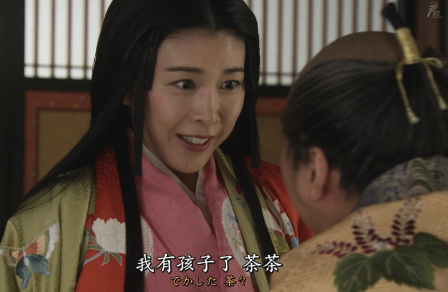 浅井茶茶与德川家康：乱世中的政治博弈与家族纠葛