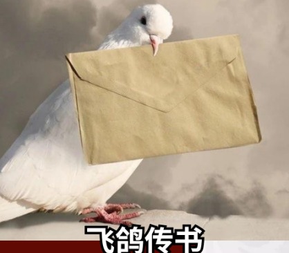 古代飞鸽传书的利弊：速度与风险的千年博弈